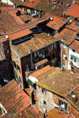 Ayrıntı görünümü, çatıları Lucca şehir, Toskana, İtalya.