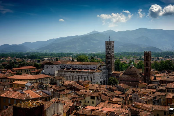 Vista de Lucca y Duomo di San Martino, Toscana, Italia . — Foto de Stock