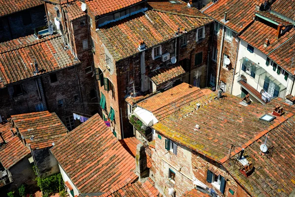 Detailansicht auf den Dächern der Stadt Lucca, Toskana, Italien. — Stockfoto