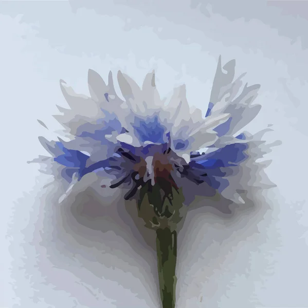 Cornflower Ρεαλιστική Εικόνα Ακουαρέλα Λουλούδι — Διανυσματικό Αρχείο
