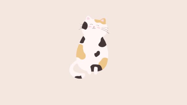 Love Yourself Animation Cute Cat Heart Self Love Self Care — Stock Video