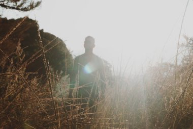 Güneşli bir günde otlakta üstsüz bir model, arka plan fotoğrafçılığı.