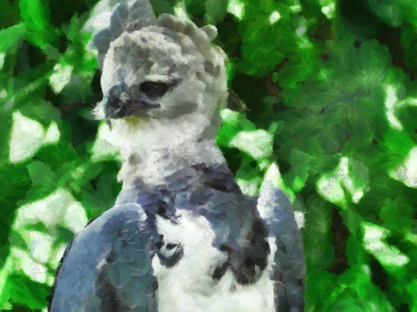 Орёл Гарпия Фоне Зеленой Листвы Художественная Работа Тему Животных — стоковое фото