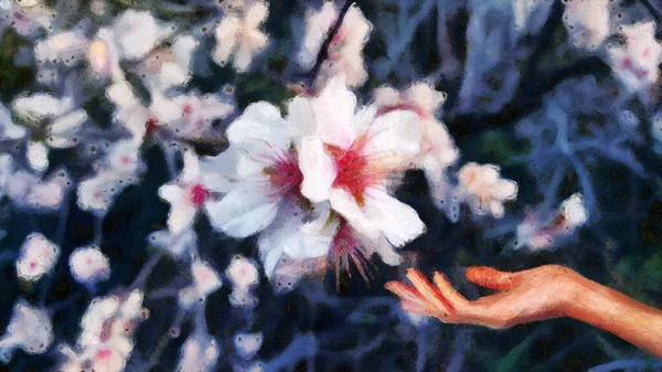 女性の手は開花アプリコットのために達する 芸術作品 — ストック写真