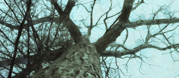 Enorme Árbol Desnudo Amplias Vistas Panorámicas Obra Artística — Foto de Stock