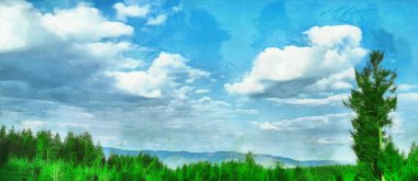 Genç ormanın geniş panoramik manzarası. Gökyüzündeki bulutlar. Doğanın teması üzerine sanatsal çalışma