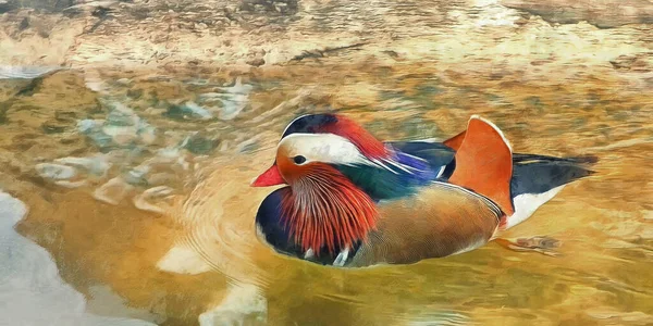 Mandarin duck swimming in the water. Artistic work on the theme of animals