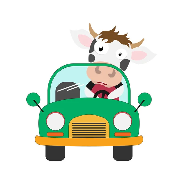 Χαριτωμένο Αγελάδα Βόλτα Αυτοκίνητο Απλή Διανυσματική Απεικόνιση — Διανυσματικό Αρχείο