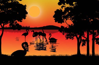flamingo silueti, basit vektör çizimi