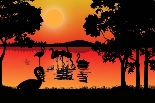 flamingo silueti, basit vektör çizimi
