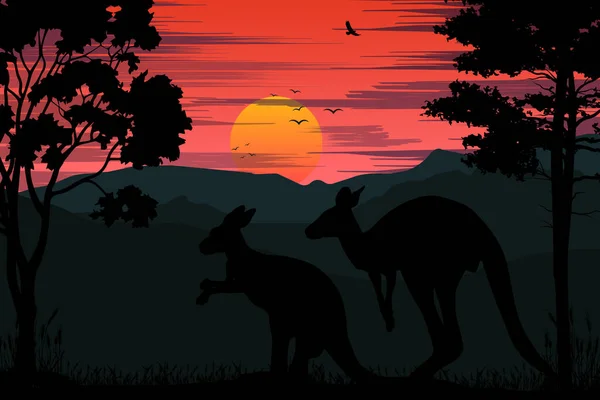 Kangaroo Sunset Silhouette — Stock Vector