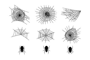 Örümcek ve ağ koleksiyonu