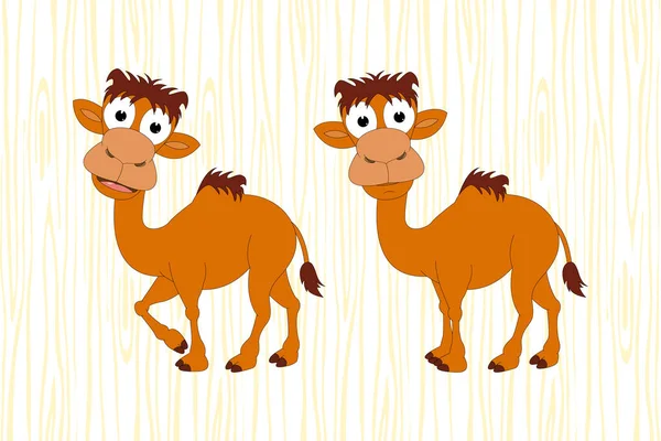 Bonito Animal Camelo Desenhos Animados Ilustração Vetorial Simples — Vetor de Stock