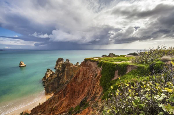 崖と海 - ポンタ ・ ド ・ ピエダデ ポルトガル — ストック写真