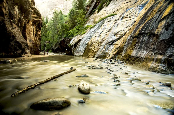 The view of river in Zion Canyon (Utah) — Stock Photo, Image