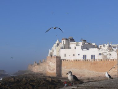 Essaouira (Fas göster)