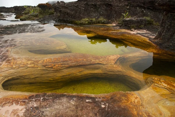 doğal havuzlar, mount roraima venezuela