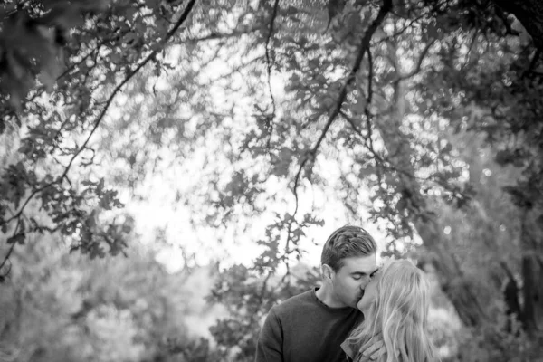 Tête Les Épaules Embrasser Couple Sous Arbre Feuillu Noir Blanc — Photo