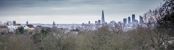 Shard Paul Cathedral Feature London Skyline Trees Lawn — стоковое фото