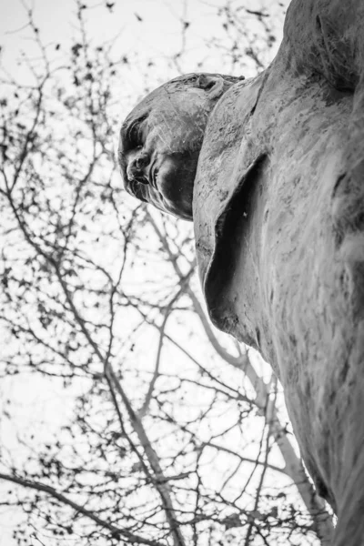 Estatua Conmemorativa Winston Churchill Praga República Checa —  Fotos de Stock