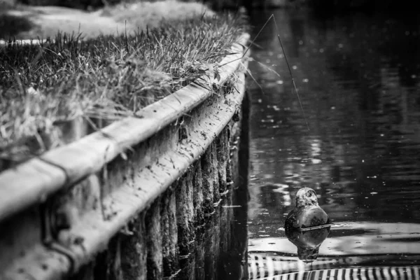 Close Banco Canal Towpath Orientação Paisagem — Fotografia de Stock