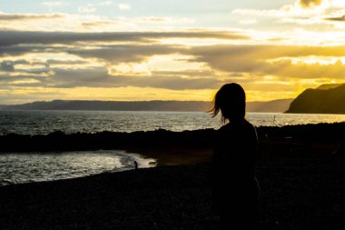 Gün batımında kumsalda, rüzgârda savrulan genç bir kızın silueti.