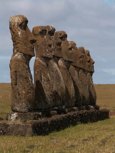 Fila apretada de Moai — Foto de Stock