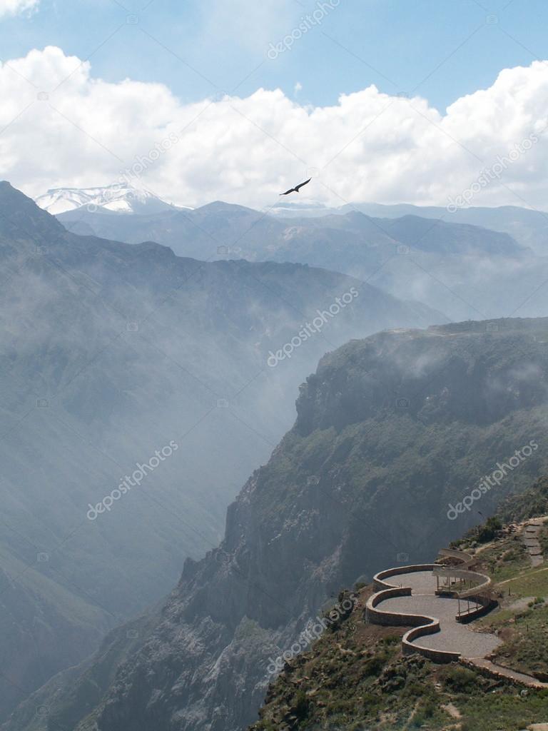 Condor Over Colca Canyon