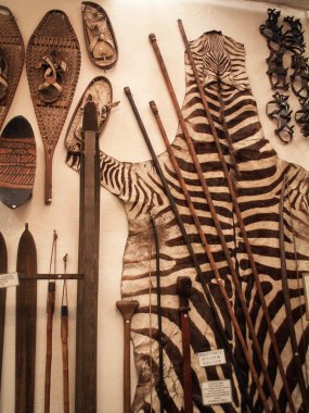 Müze görüntüleme