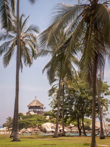 Cabana de Tayrona através das palmeiras — Fotografia de Stock