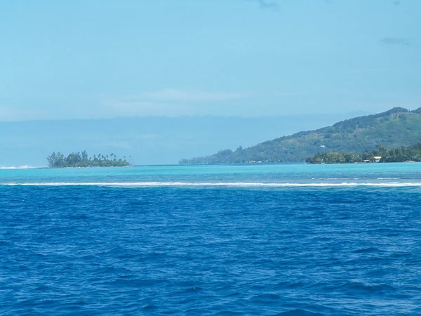 Moorea tengeri színek — Stock Fotó