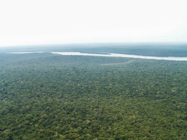 Iguazú-vízesés esőerdő — Stock Fotó