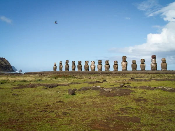 Rangée de Moai et Oiseau — Photo