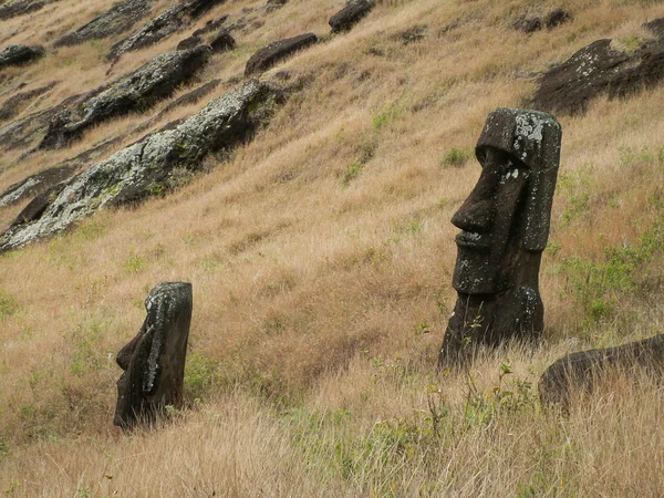 Moai en graminées — Photo