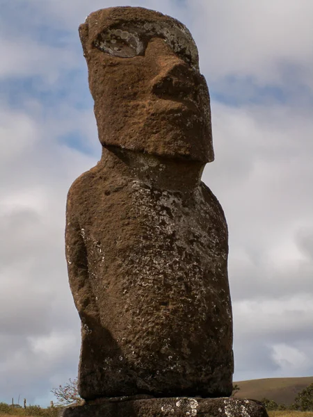 Lichen cubierto Moai — Foto de Stock