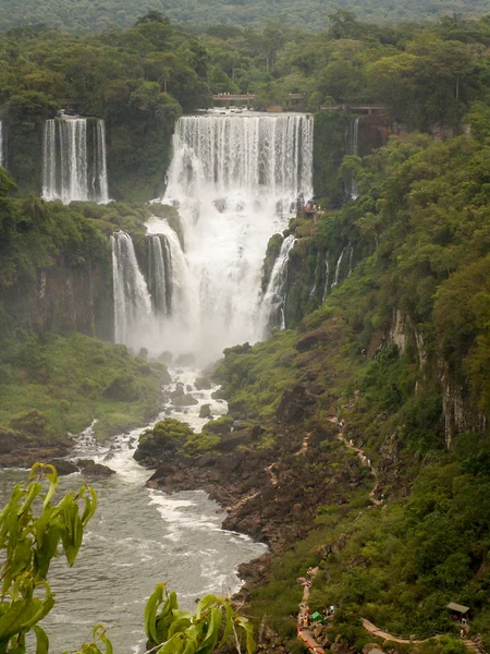 Cascate di Iguazu Ritratto — Foto Stock