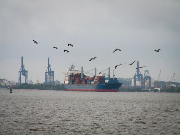 Birds And Ship At Port — Stock Photo, Image