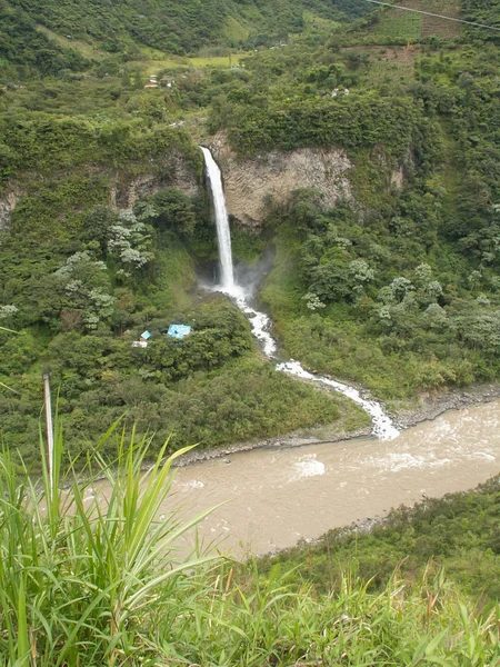 Viale della cascata dei Orchids — Foto Stock