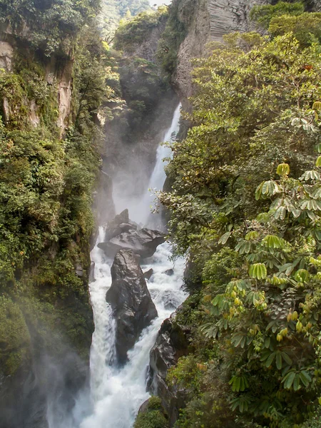 Avenue Of Orchids Wild Waterfall Shaft — Stock Photo, Image