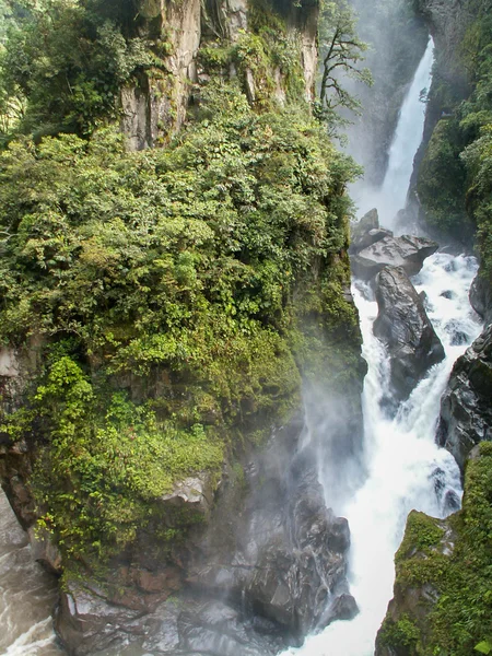 Avenue av orkidéer Wild vattenfall — Stockfoto