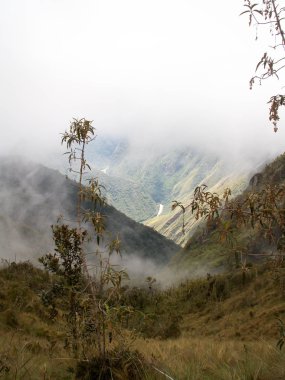 Misty Incan Nehir Vadisi ve bitki