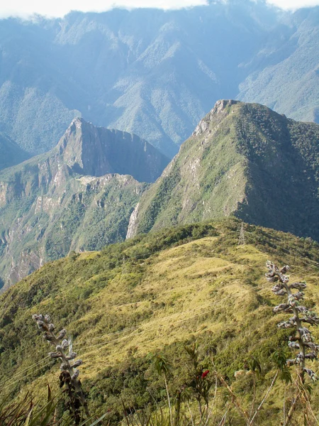 Machu Picchu od tyłu — Zdjęcie stockowe