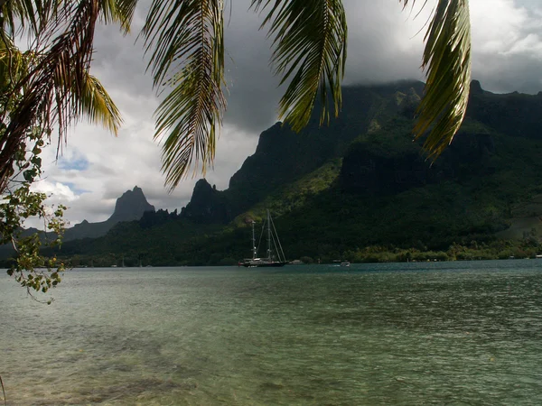 Cooks Bay och båt Moorea — Stockfoto