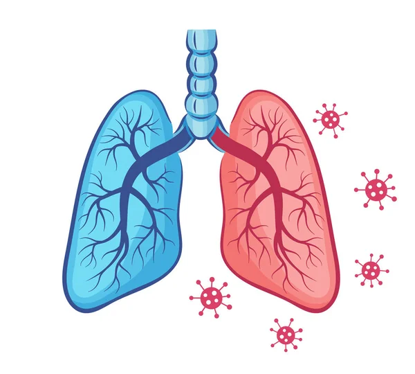 İnsan ciğerleri anatomisi ikonu. İç organı solu. Coronavirus enfeksiyonu ya da zatürree solunum sistemi hastalığı. Mutasyon Covid-19 virüsü. Tıbbi tedavi ve önleme iltihap solunum yolu. İzole vektör işareti
