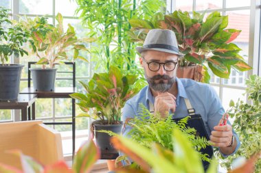 Yaşlılar, evde çiçek aranjmanında hobileriyle mutlu giyinirler.
