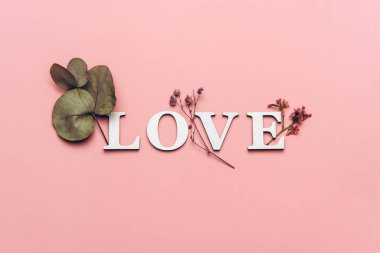 Kelime sevgisinin yaratıcı düzlüğü yumuşak renkli arka planda doğal bitkilerle. 