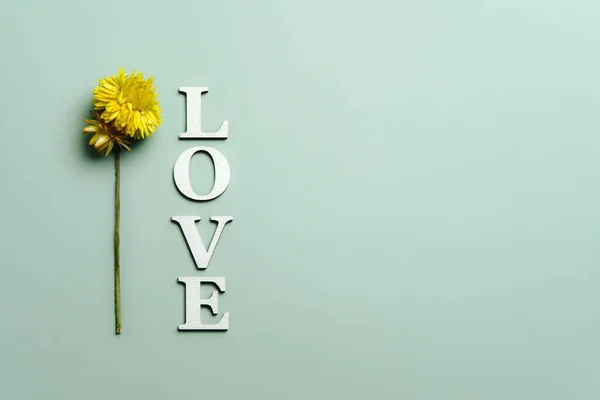 Kelime Sevgisinin Yaratıcı Düzlüğü Yumuşak Renkli Arka Planda Doğal Bitkilerle — Stok fotoğraf
