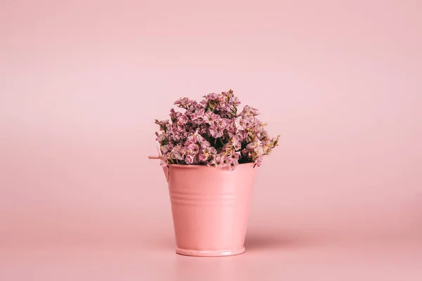 Pink Metal Basket Natural Flowers Pink Background — Stock Photo, Image