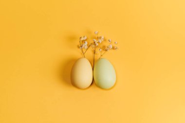 Renkli arka planda paskalya yumurtalarının yaratıcı düz fotoğrafı