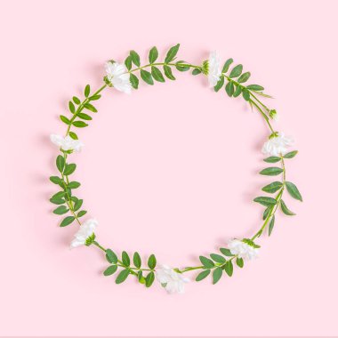 Pastel arka planda çiçeklerin yaratıcı yerleşimi